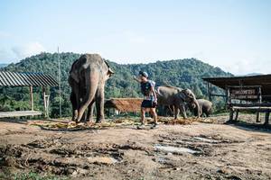 BIB: 
                            <button type="button" onclick="openModal(22422915)" class="btn btn-primary btn-sm float-right btn-popup" data-toggle="modal" data-target=".modal-high-quality">
                        <i class="fas fa-shopping-cart"></i> Add to Cart
                    </button>
                                            <button type="button" onclick="isThisMe(22422915, true)" class="btn btn-success btn-sm float-right btn-popup btn-isme hidden" data-toggle="tooltip" data-placement="bottom" title="นี่คือรูปของคุณใช่ไหม คลิกที่นี่เพื่อเอาเข้าอัลบั้ม">
                        <i class="fas fa-plus"></i> Add to album
                    </button>
                    <button type="button" onclick="isThisMe(22422915, false)" class="btn btn-warning btn-sm float-right btn-popup btn-isnotme hidden">
                        <i class="fas fa-ban"></i> Remove from album
                    </button>